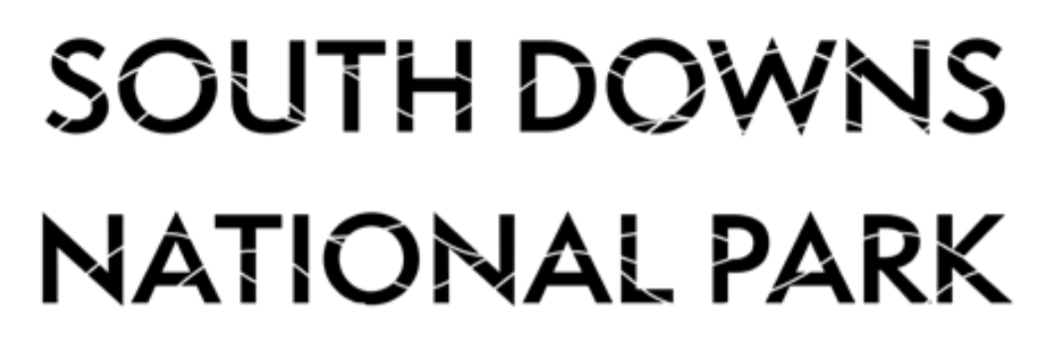 SD logo