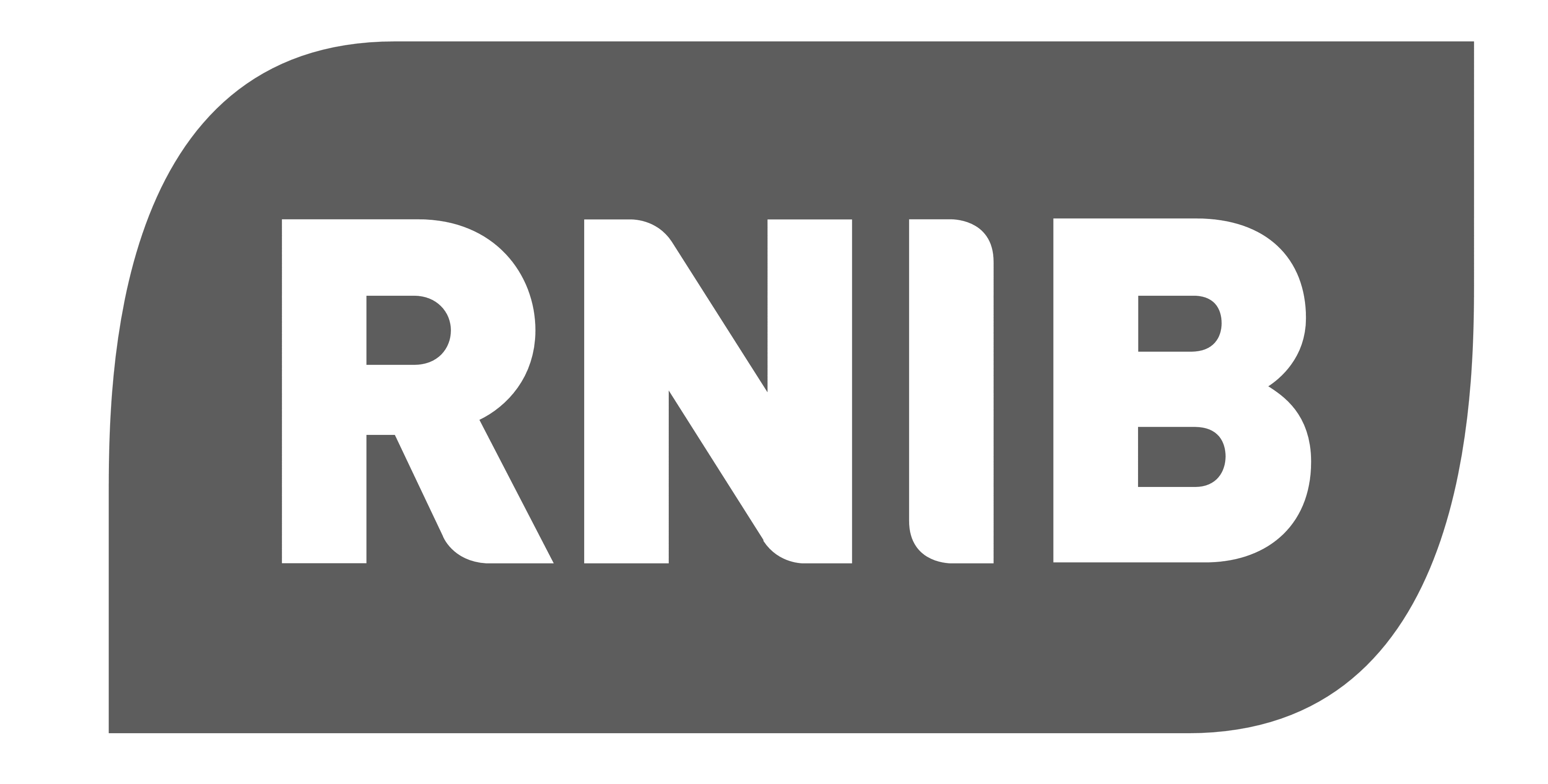 rnib_logo_logotype